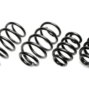 Höherlegungsfedern passend für VW Transporter T5+T6 Bus/Kasten/Multivan 25/30mm